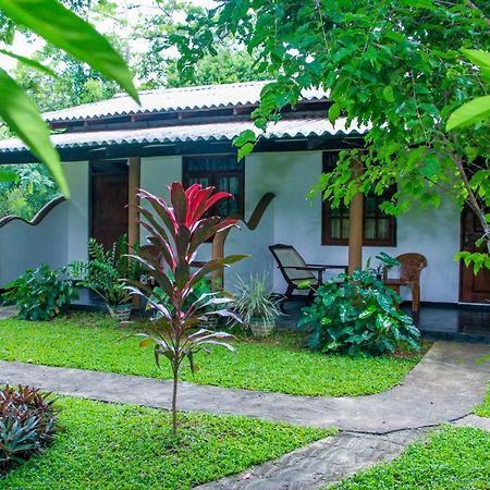 Nimsara Lodge 锡吉里亚 外观 照片
