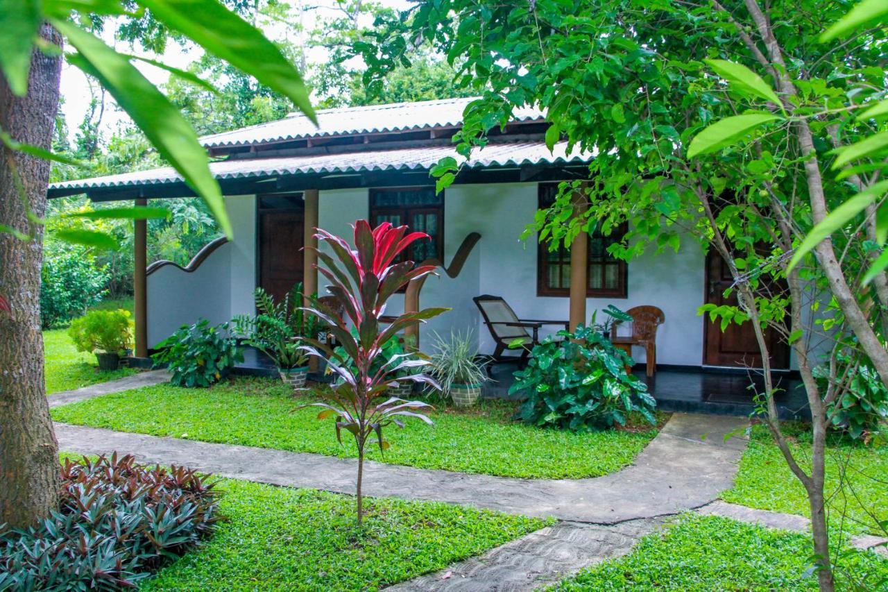 Nimsara Lodge 锡吉里亚 外观 照片