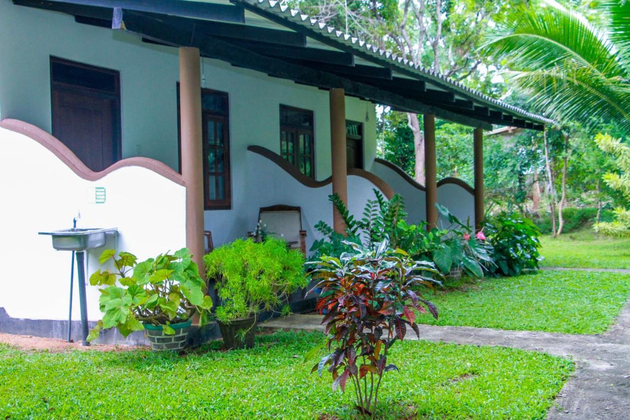 Nimsara Lodge 锡吉里亚 外观 照片