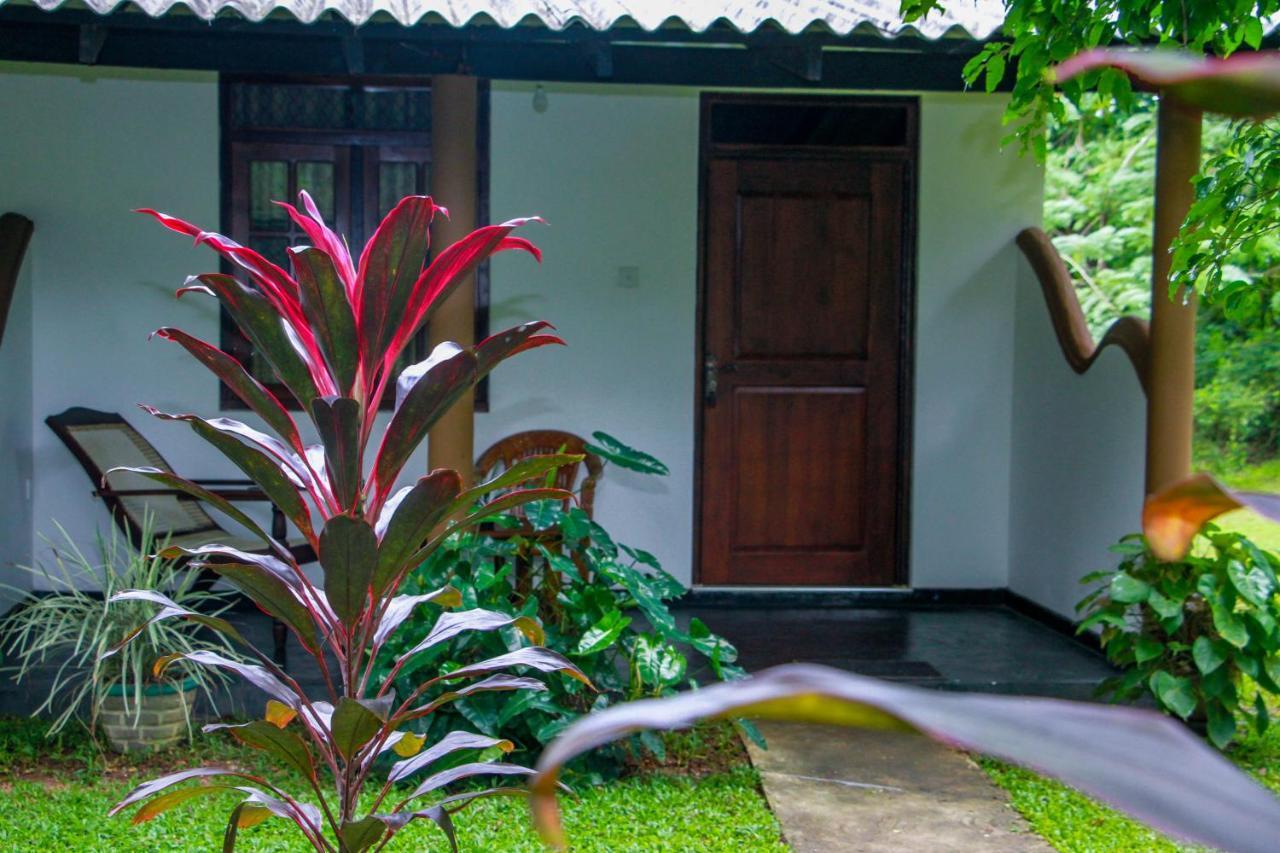 Nimsara Lodge 锡吉里亚 外观 照片
