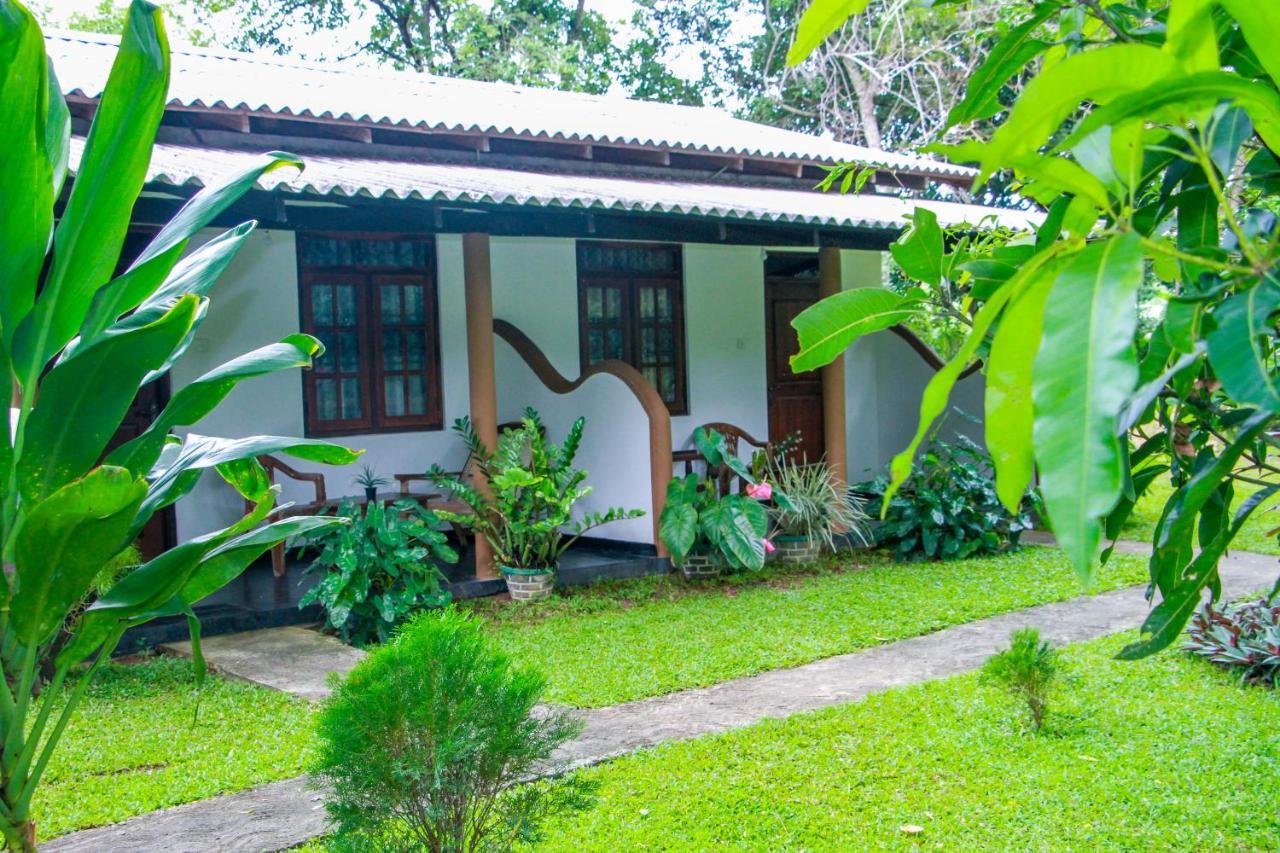 Nimsara Lodge 锡吉里亚 外观 照片