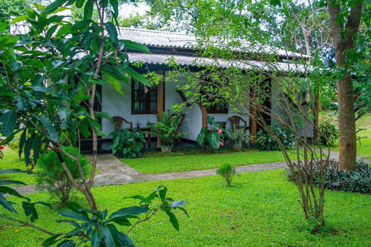 Nimsara Lodge 锡吉里亚 外观 照片