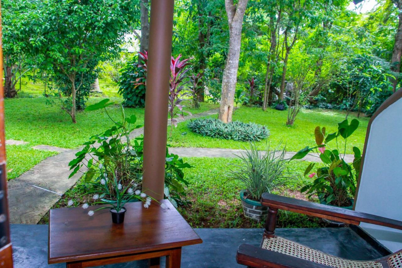 Nimsara Lodge 锡吉里亚 外观 照片