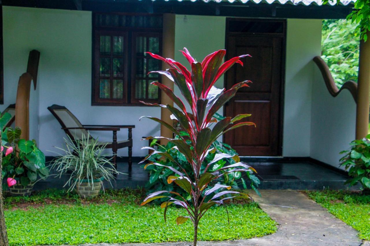 Nimsara Lodge 锡吉里亚 外观 照片