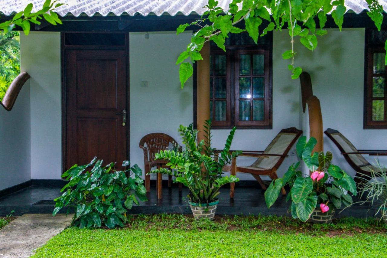 Nimsara Lodge 锡吉里亚 外观 照片