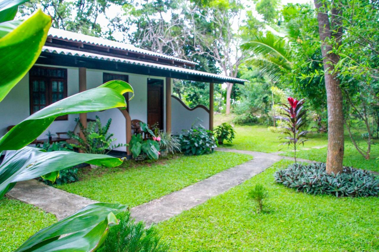 Nimsara Lodge 锡吉里亚 外观 照片