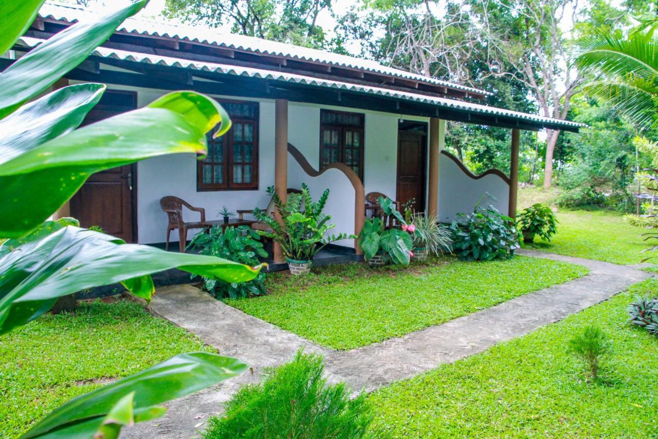 Nimsara Lodge 锡吉里亚 外观 照片