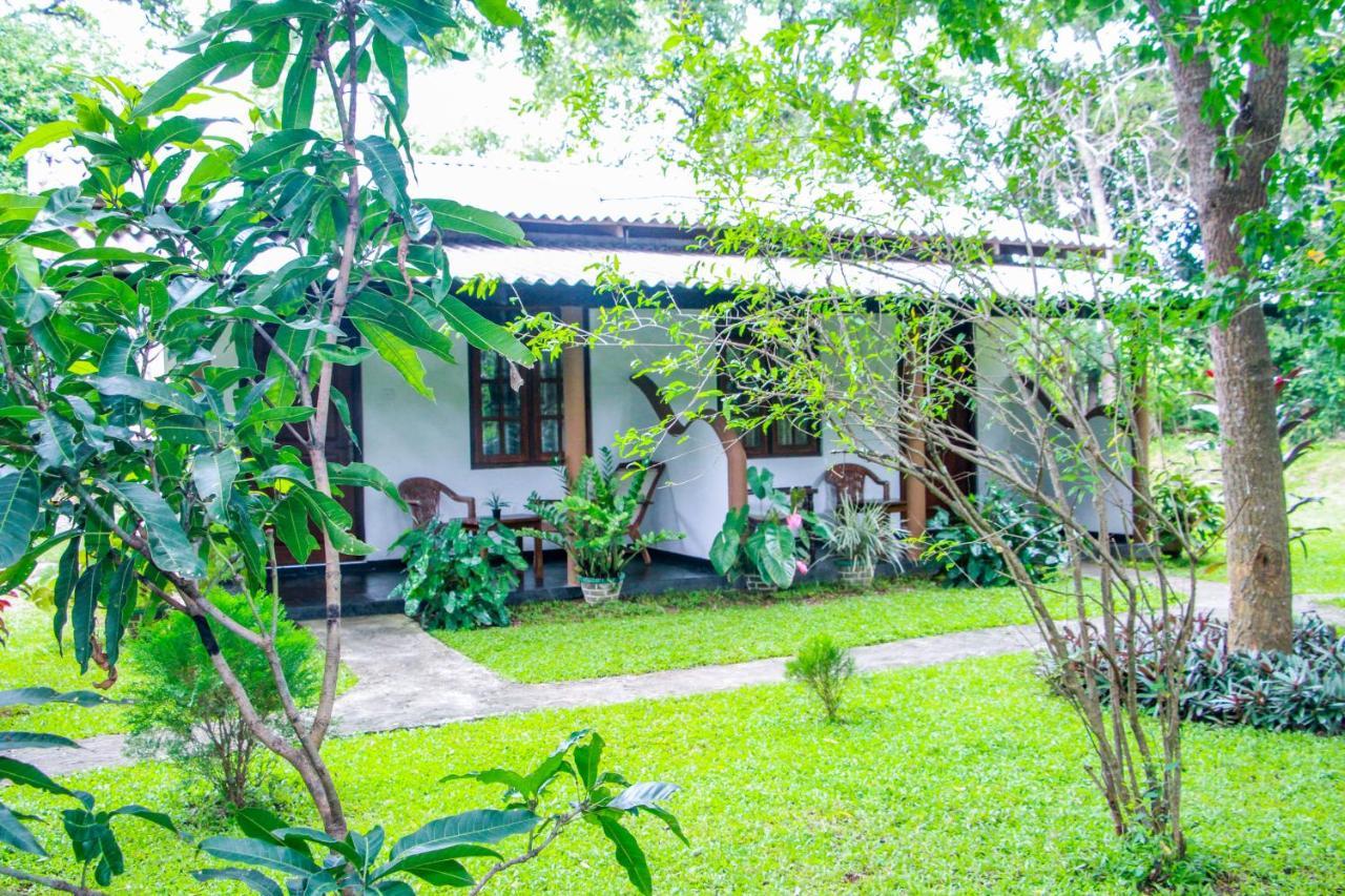 Nimsara Lodge 锡吉里亚 外观 照片