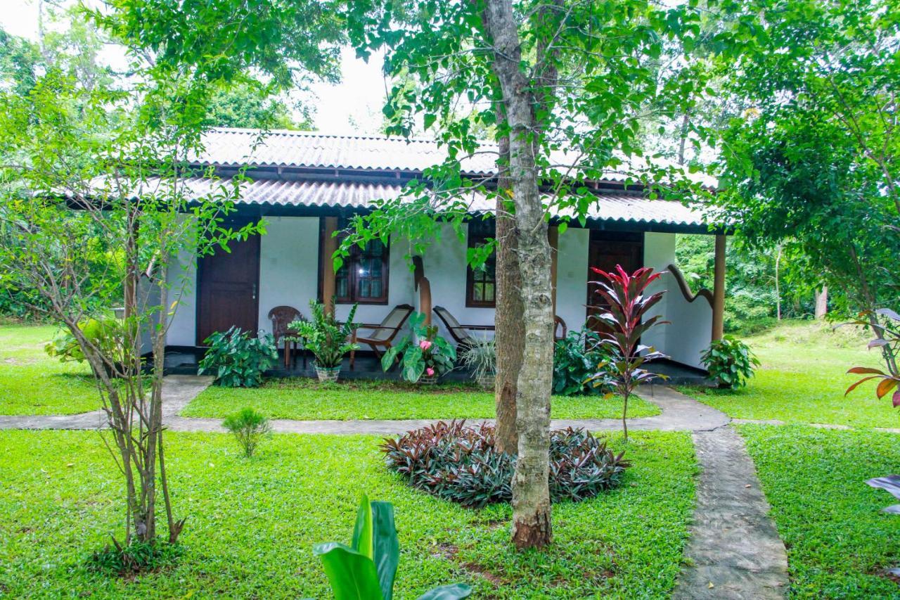 Nimsara Lodge 锡吉里亚 外观 照片