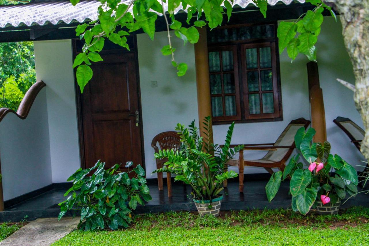 Nimsara Lodge 锡吉里亚 外观 照片