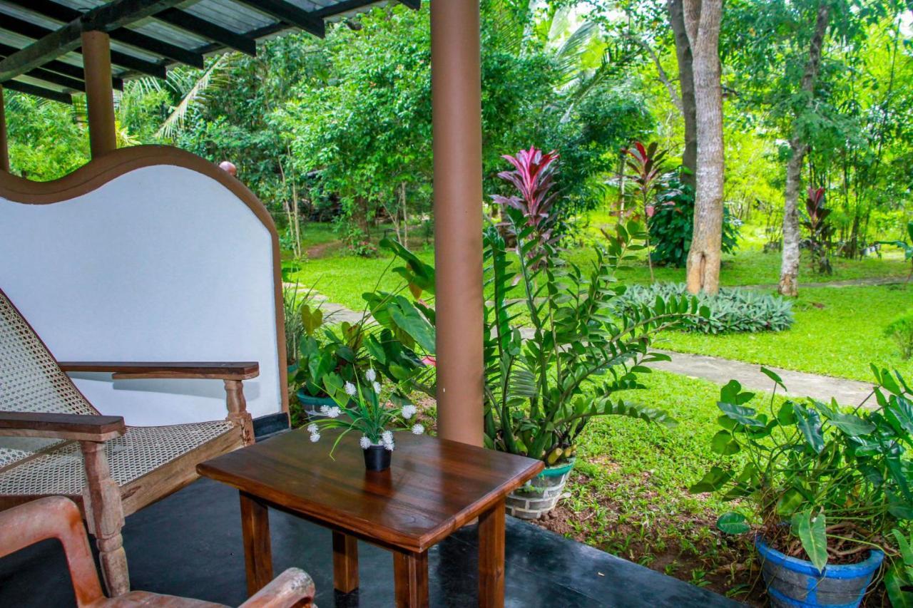 Nimsara Lodge 锡吉里亚 外观 照片